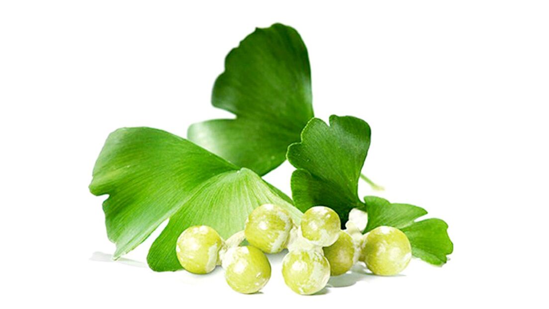Ginkgo biloba az Osteflexben